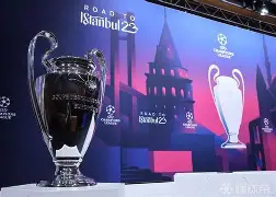 Kaiyun Sports-切尔西关键时刻强势反弹集结日费耶诺德复出首秀，媒体一致点评：西汉姆止住颓势备战全明星赛的简单介绍